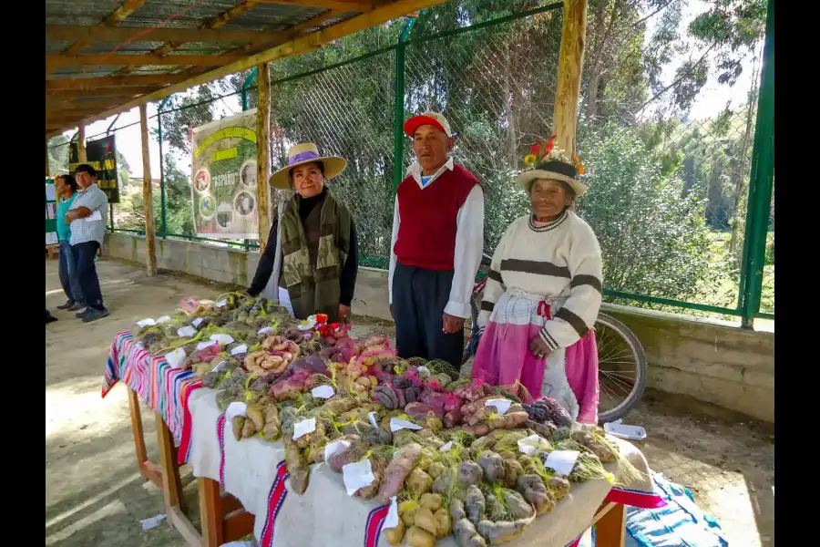 Imagen Feria Agropecuaria De Masma Chicche - Imagen 6