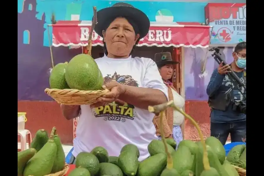Imagen Festival De La Palta - Luricocha - Imagen 7