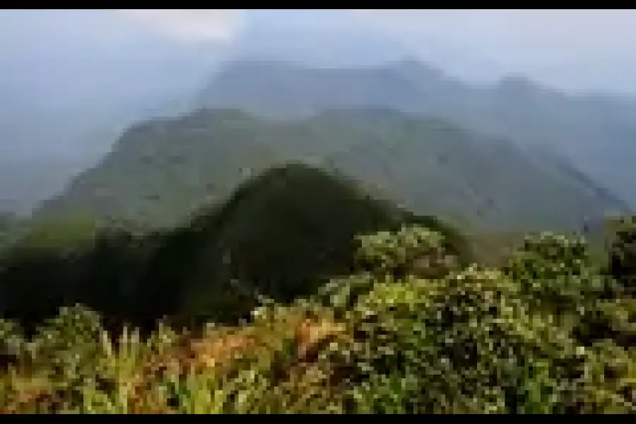 Imagen Las Pampas Del Olvido - Imagen 2